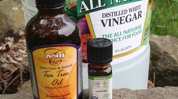 Bottles of vinegar and insect repellent ingredients.
