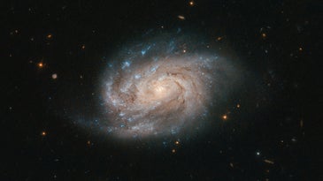 A galaxy named NGC 1803 as imaged by the Hubble Space Telescope.