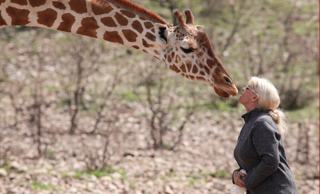Debbie Hagebusch checks in with a giraffe