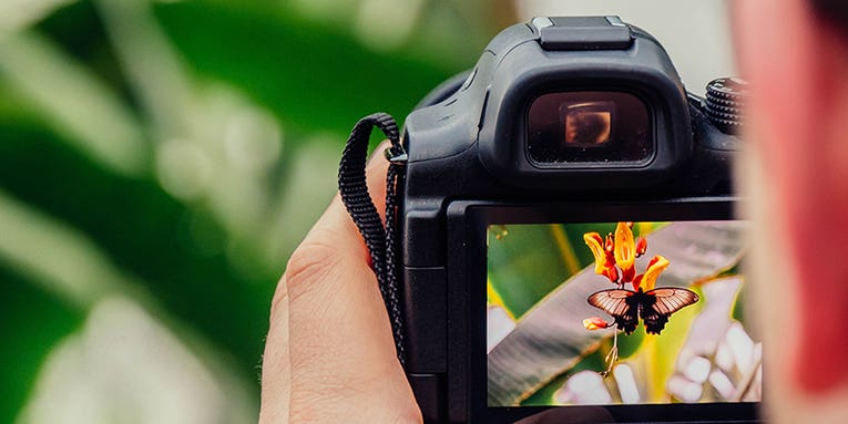 DSLR cameras for your next photography adventure