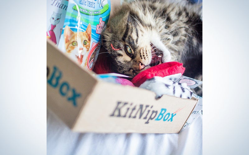 KitNipBox - Monthly Cat Subscription Box