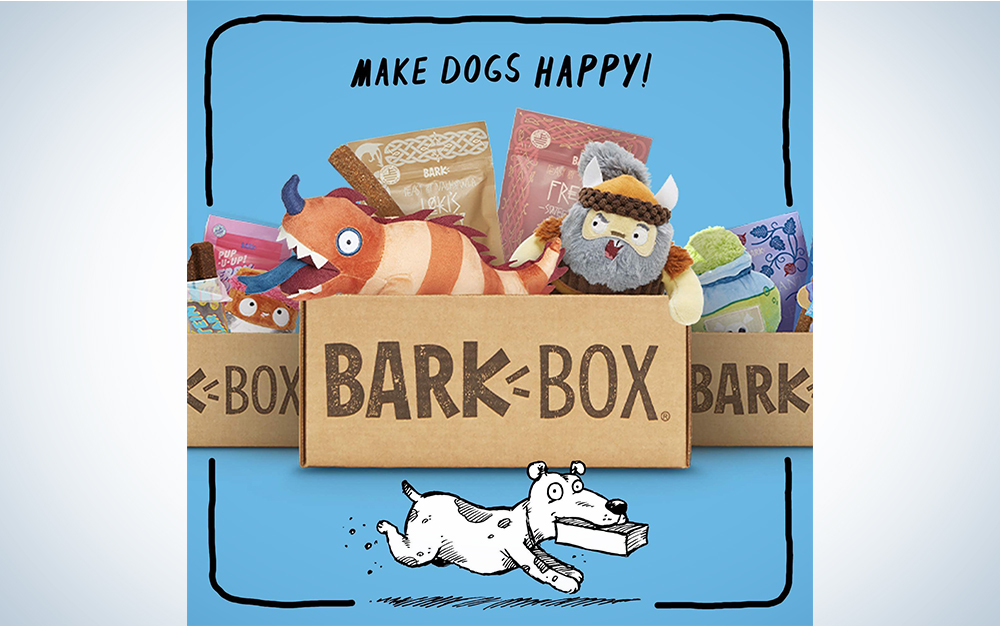 Pet subscription boxes you’ll both eagerly anticipate Popular Science