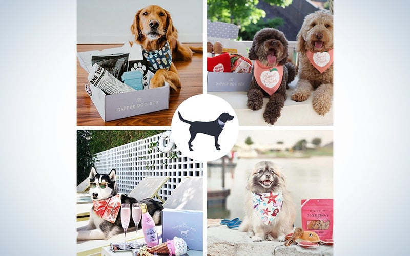 The Dapper Dog Box - Curated Fun Themed Dog Toys