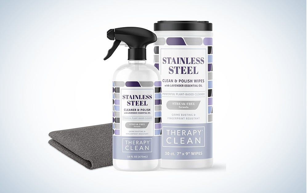 therapy clean stainless steel clearer best kit