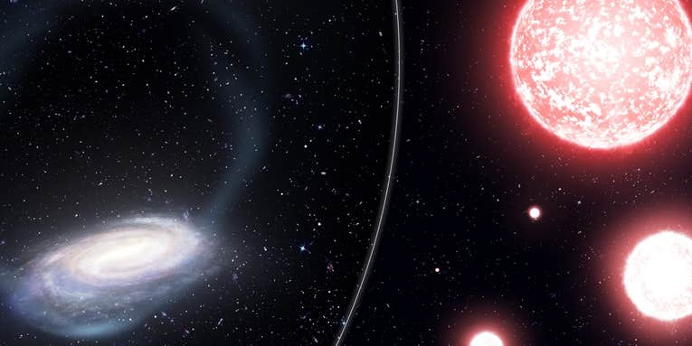 A local stellar graveyard could reveal our galaxy’s beginnings