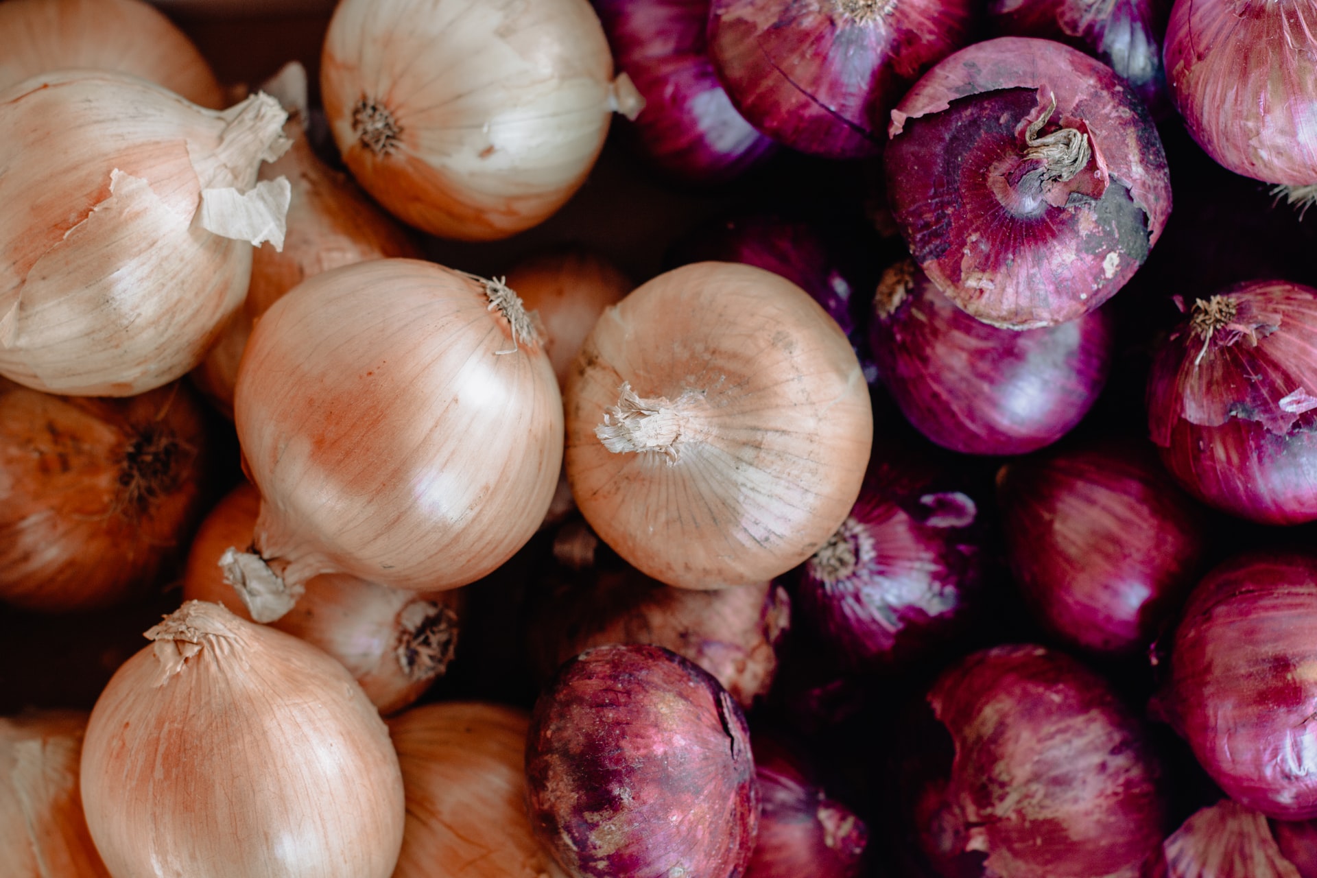 A box of yellow and red onions