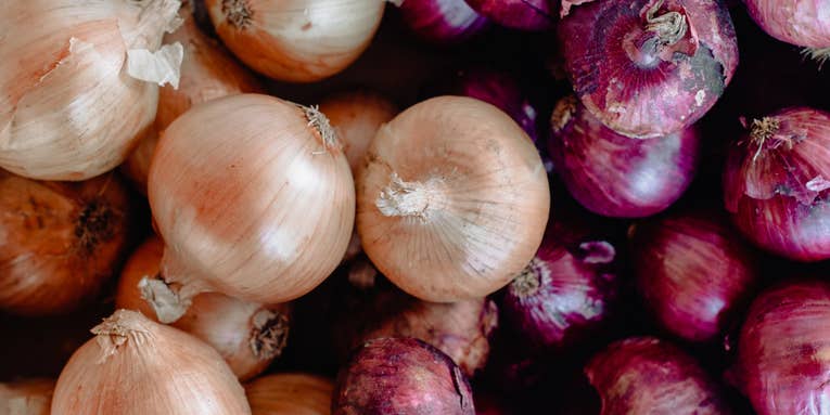 The onions in your kitchen could give you food poisoning
