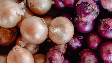 A box of yellow and red onions