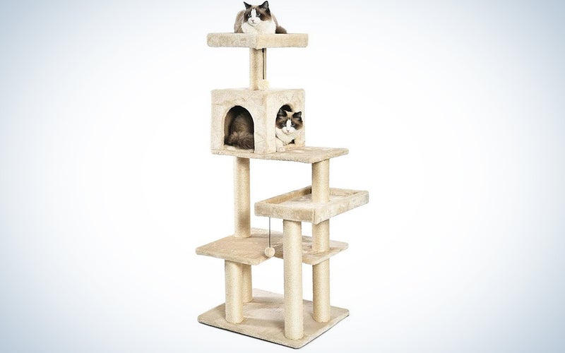 AmazonBasics Multi-Level Cat Tree with Scratching Posts