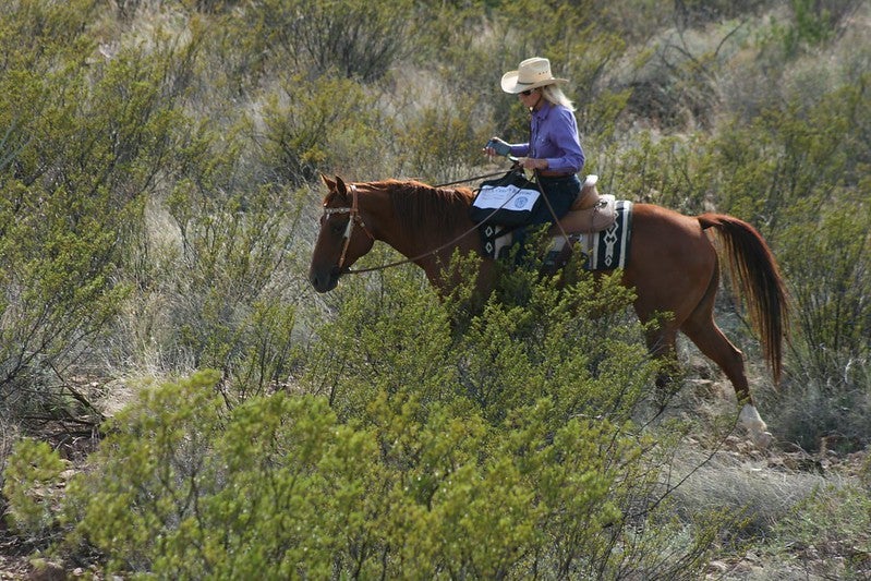A 2010 census taker navigates the harsh East Texas terrain on horseback