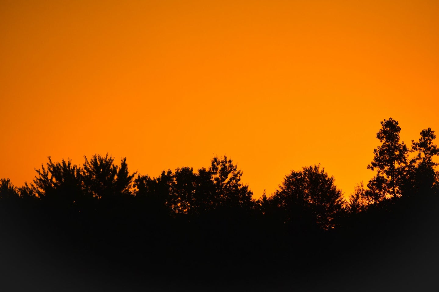 orange sky