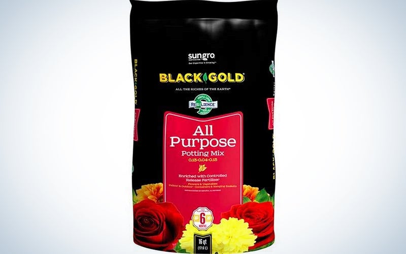 Black Gold 16-Quart All Purpose Potting Soil With Control