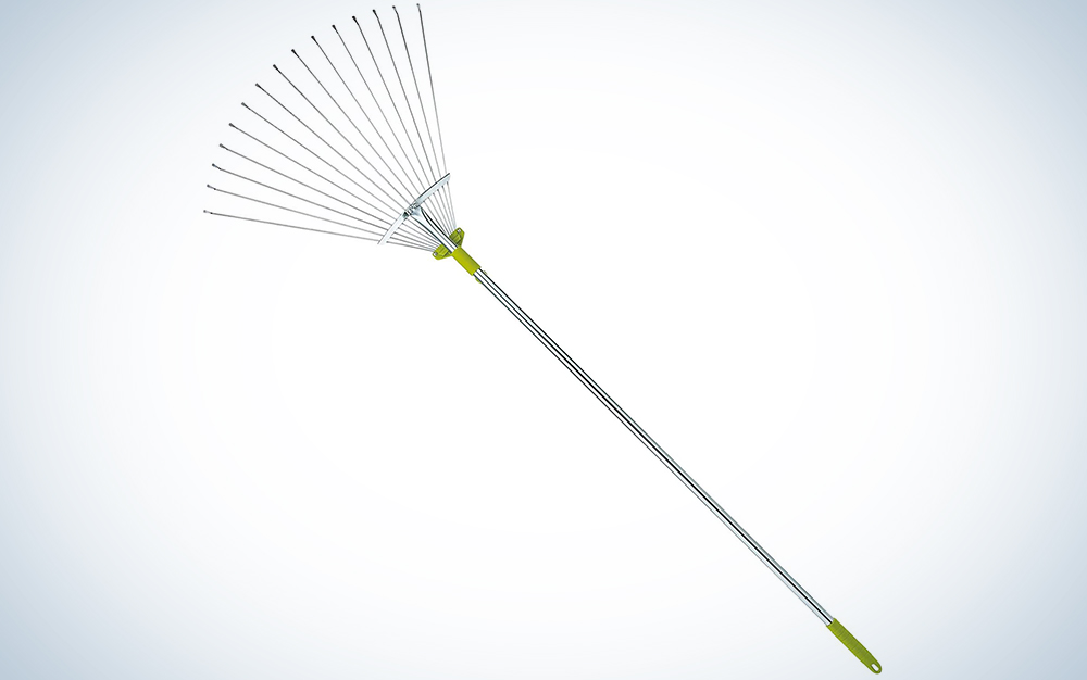 The best rakes for yard maintenance | Popular Science