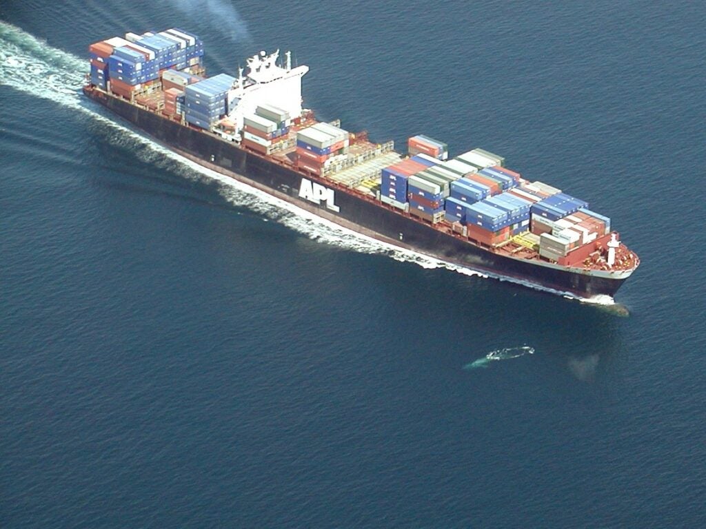 cargo ship whales