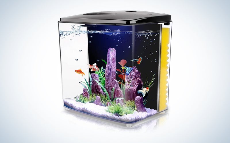 Freesea 1.4 Gallon Betta Aquarium Fish Tank