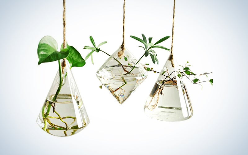 Ivolador Terrarium Container Flower Planter Hanging Glass for Hydroponic Plants