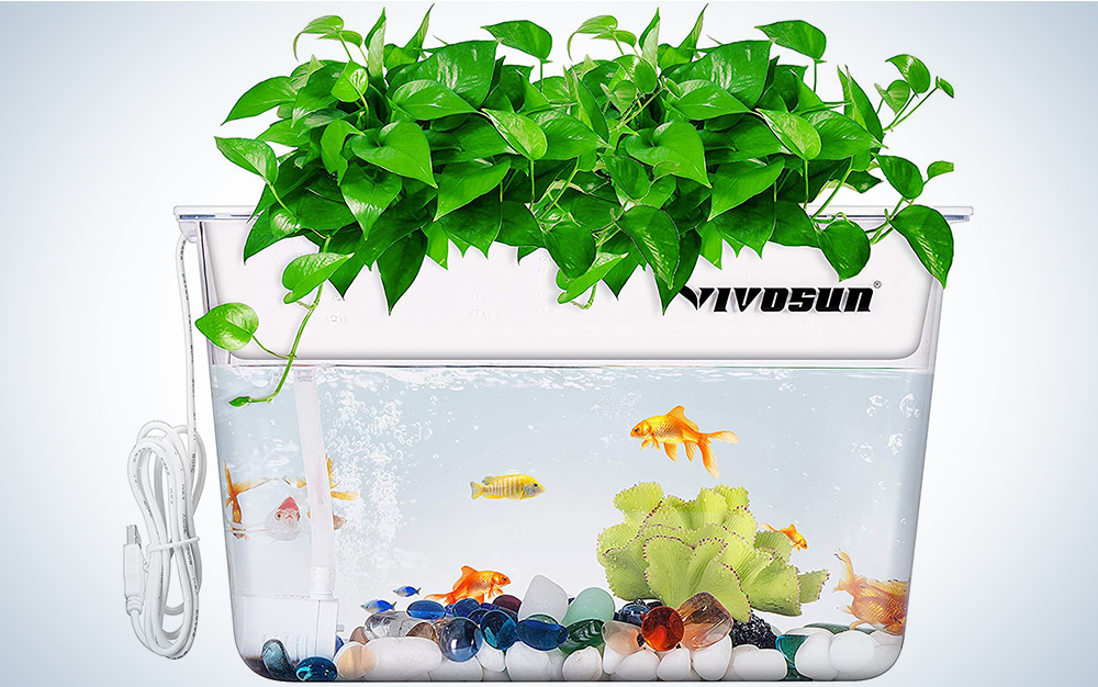 Vivosun Aquaponic Fish Tank