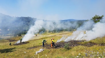 firefighters standing in a field full of small plumes of smoke