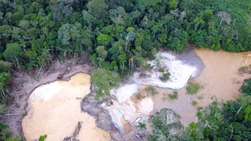 A drone-photograph shows an illegal mine in the middle of the Amazon rainforest. The image shows two artisanal pools, where the miners separate gold from rocks using mercury.