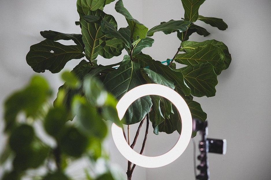 selfie ring light near a leaf