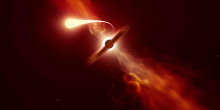 Astronomers caught a black hole slurping up a star like spaghetti