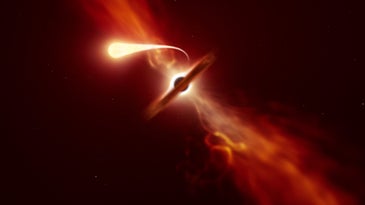 This illustration depicts a star (in the foreground) experiencing spaghettification as it's sucked in by a supermassive black hole (in the background) during a 'tidal disruption event'.