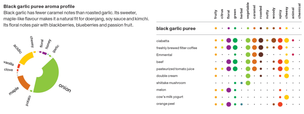 Aroma wheel and pairing chart for black garlic puree