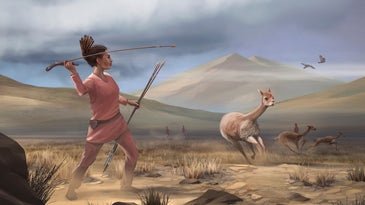 Artist reconstruction of Wilamaya Patjxa vicuña hunt.