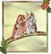 An illustration of an Eastern screech-owl cuddling on a branch