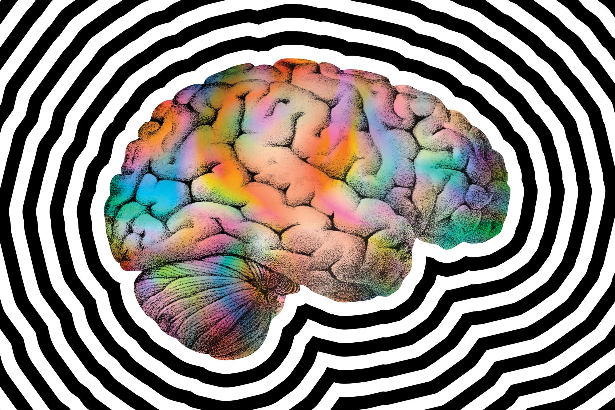 analogizes hallucinogenic effects of magic mushrooms on the human brain