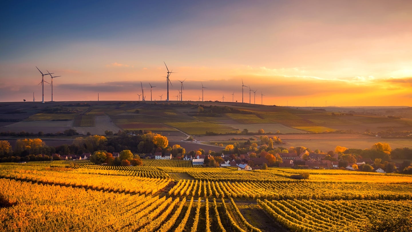 agricultural field with wind farm in background at sunset