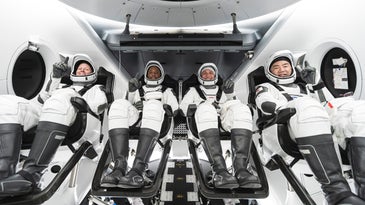The Crew-1 crew. From left to right, NASA astronauts Shannon Walker, Victor Glover, and Mike Hopkins, and JAXA astronaut Soichi Noguchi.