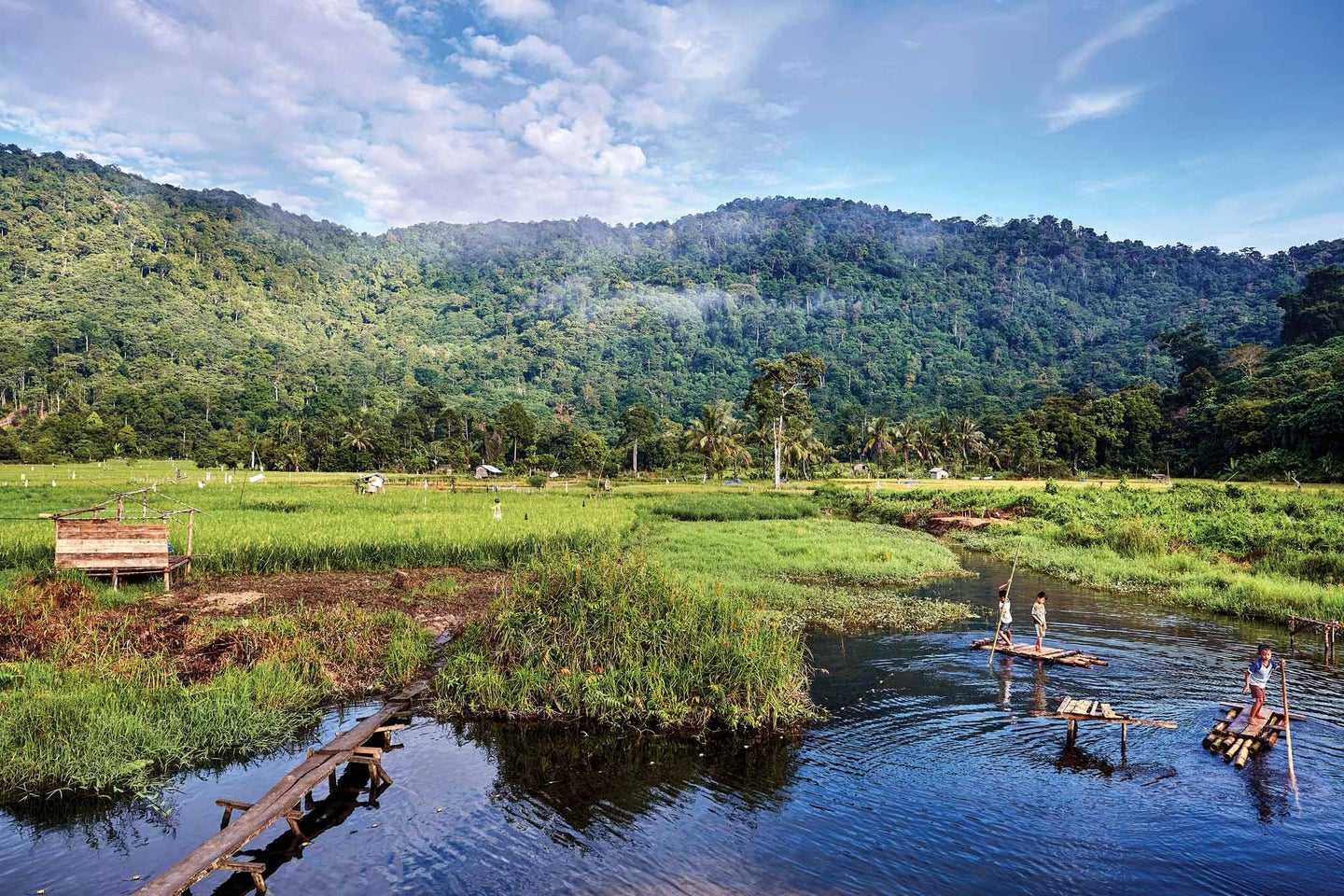 Borneo’s Gunung Palung National Park