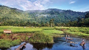 Borneo’s Gunung Palung National Park