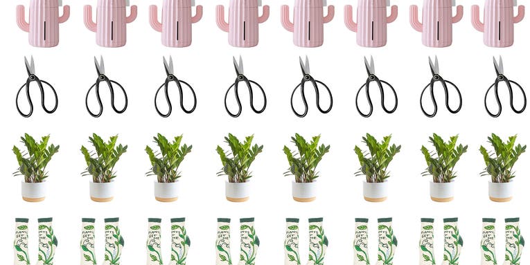 20+ gifts to help your new plant parent friends grow their love of plants