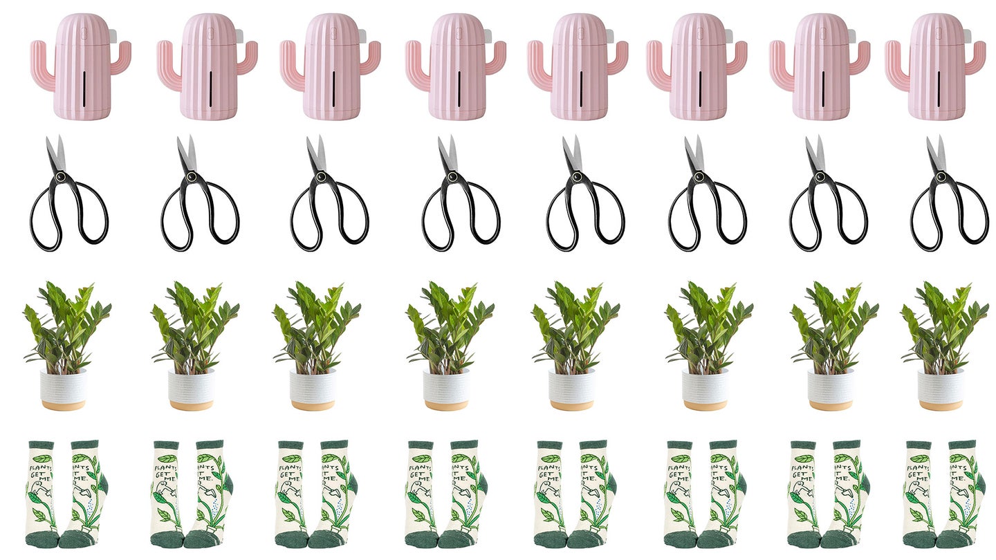 Four rows of repeated gifts for new plant parents: a pink cactus humidifer, bonsai scissors, a green ZZ plants in a white pot, and green and white plant lover socks.