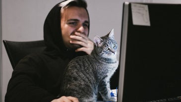 Person at computer with cat