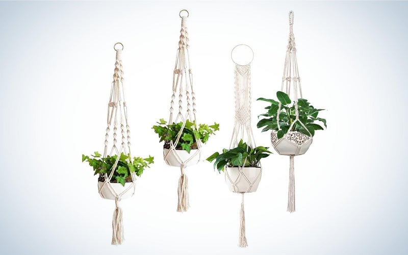 Macrame plant hangers