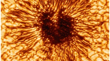 A reconstruction of the sunspot  captured by the Daniel K. Inouye Solar Telescope on January 28th, 2020. The original image was taken in the wavelength of 530 nanometers - in the greenish-yellow part of the visible spectrum–. Researchers modified it to show up red and orange to the naked eye