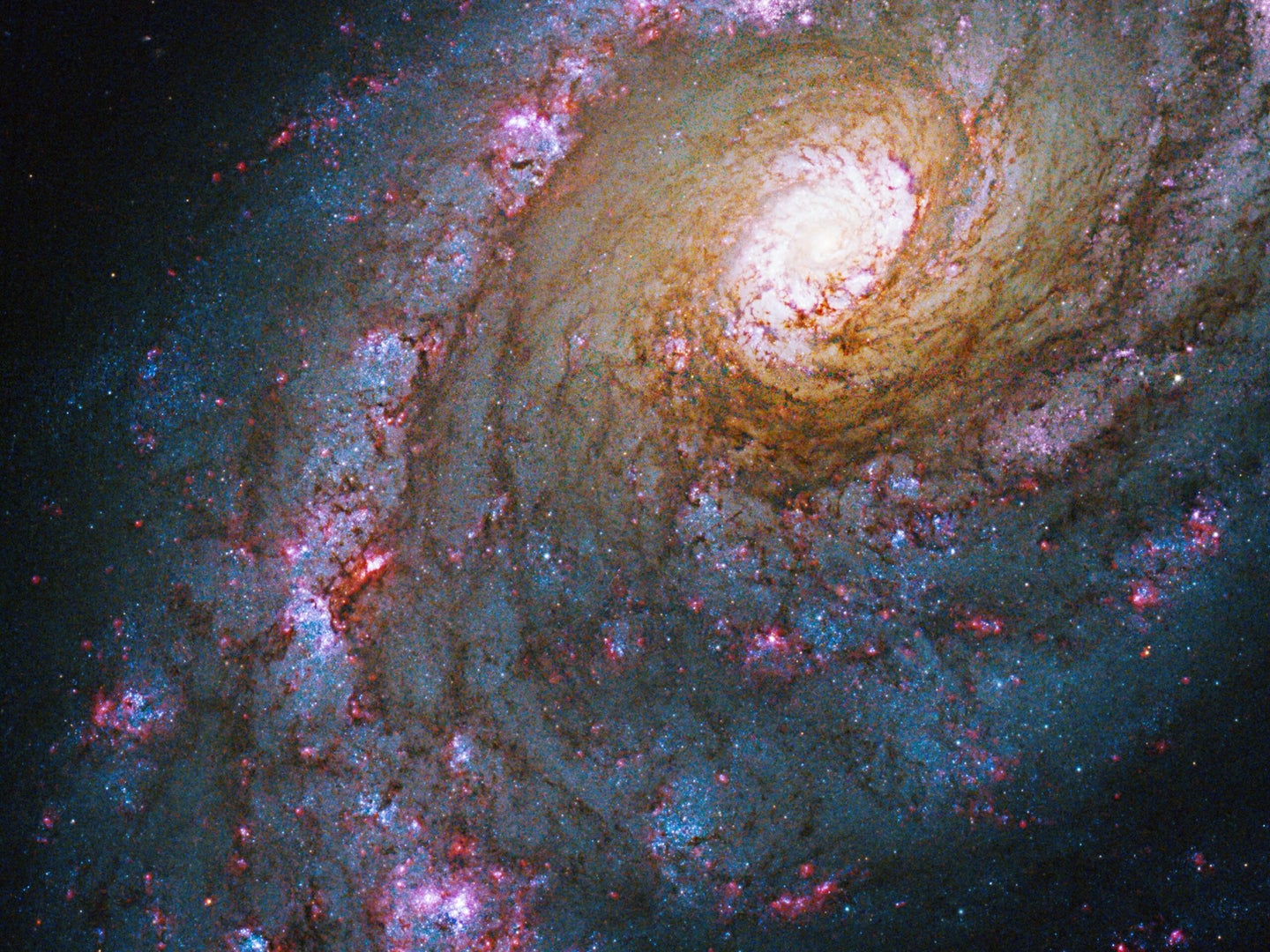 This image of Caldwell 45, captured by Hubble’s Wide Field Camera 3, provides a larger view, showing more of the galaxy. The bluish color swirling around the galaxy’s center indicates the presence of young, hot stars in Caldwell 45’s spiral arms.