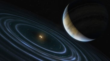 An exoplanet orbits two stars in this artist's interpretation