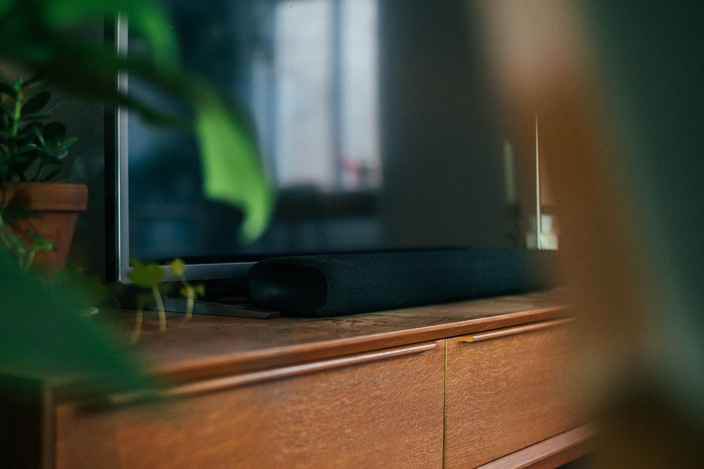 Best soundbar and tv on a brown media console with plant leaves