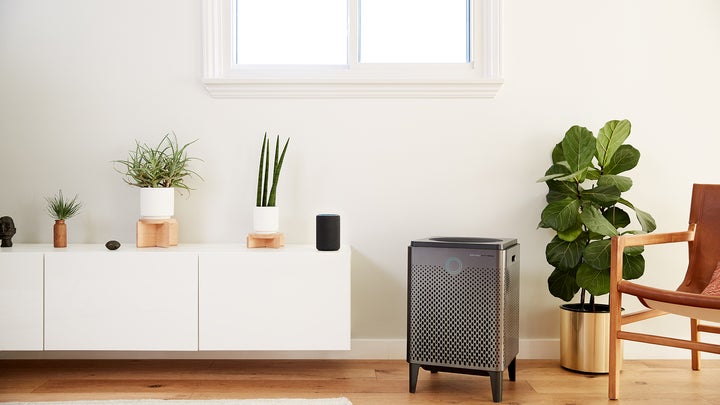 grey Coway air purifier in a living room with plants
