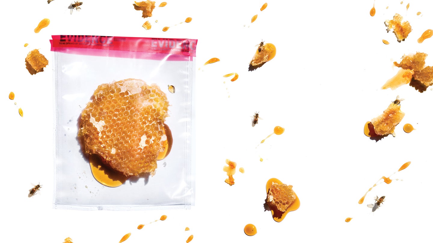 honeycomb in a plastic bag
