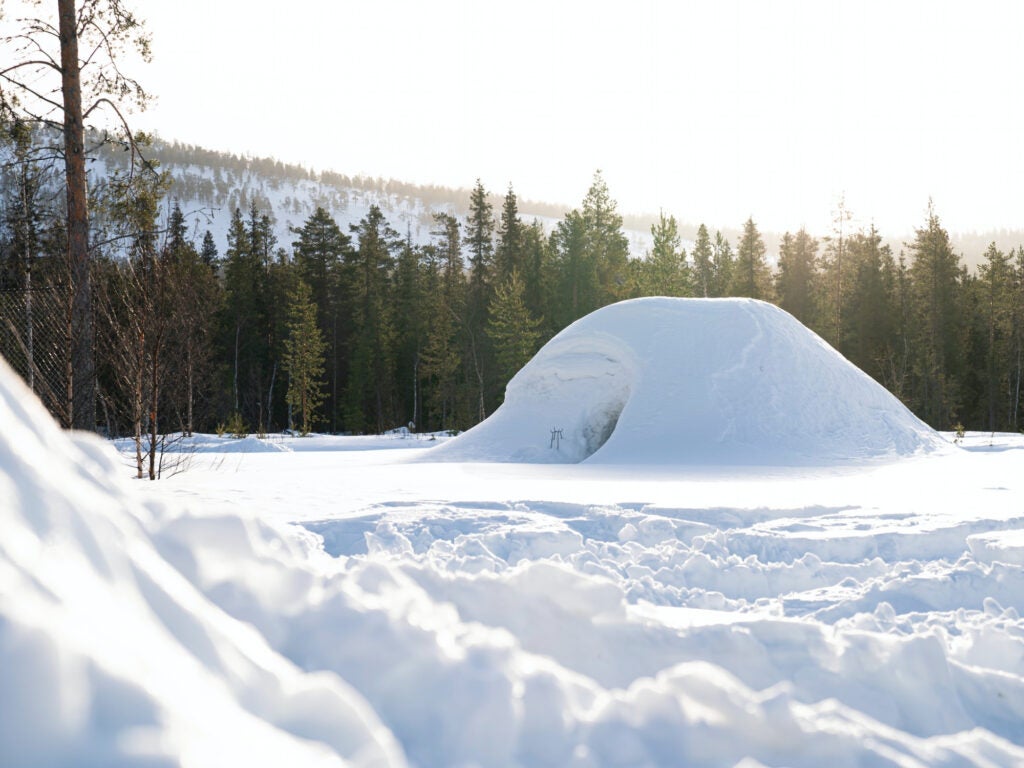 un iglu sau o peșteră de zăpadă într-o pădure de iarnă