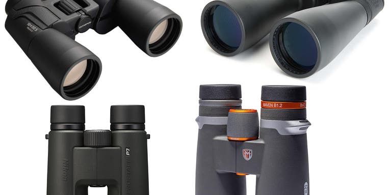 The best bird-watching binoculars in 2024
