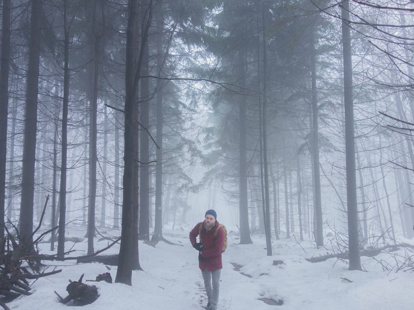Person walking in forest in the middle of a snow storm.