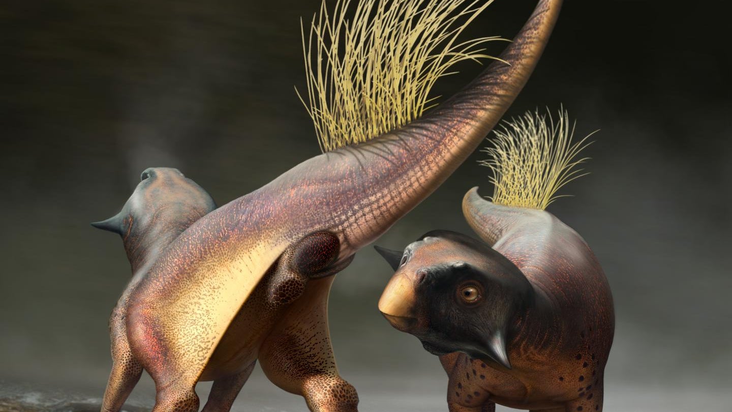 Psittacosaurus reconstruction