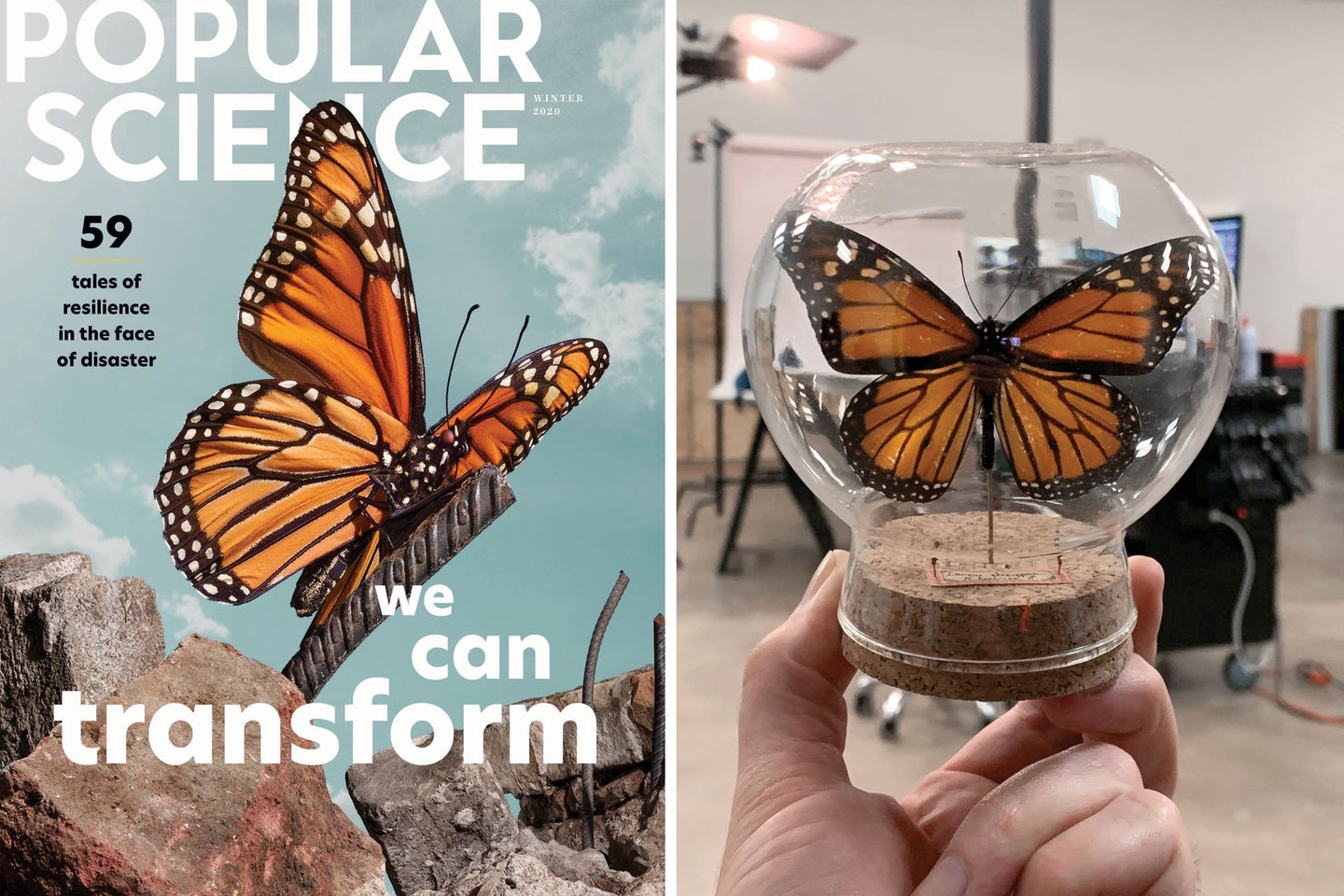 PopSci Transformation cover butterfly