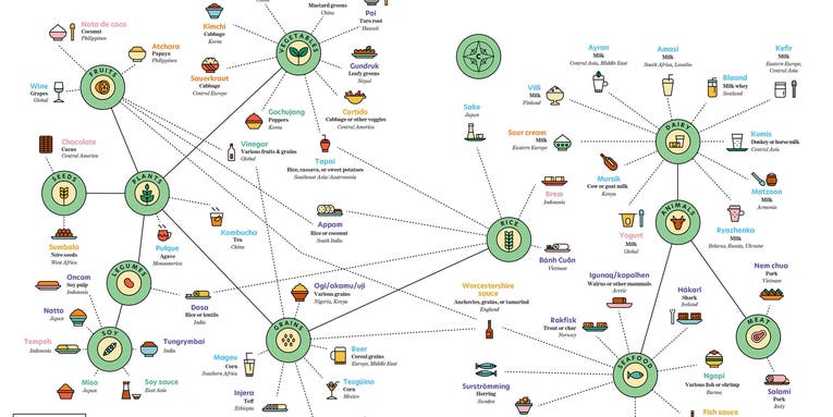 See the wonderful world of fermented foods on one delicious chart